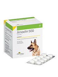 AMOXILIN - FATRO - VON FRANKEN - Fatro Von Franken S. A. I. C. - Antibioticos Quimioterapicos y Otros - Vademecum Sani - Productos Veterinarios